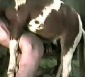 Passionate bestiality with a horse