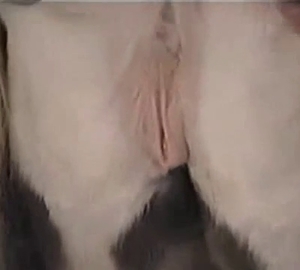 Exposing this horse's hot pussy on cam