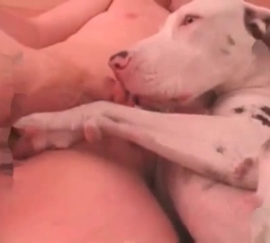 Very intense sex with a kinky little pooch