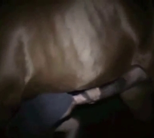 Determined dude sucking horse cock