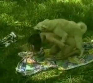 Pooch pounds pussy during a picnic