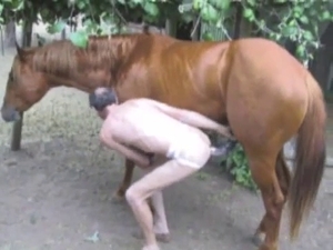 Pale-ass dude fucks a brown horse