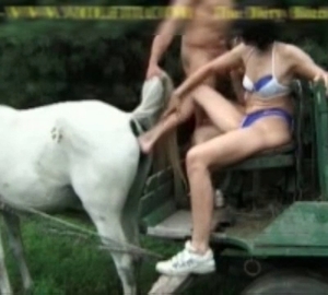 Horse is having some intense sexual fun at this farm video