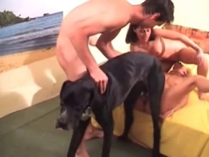 Hot threesome action for an incredibly lovely doggo