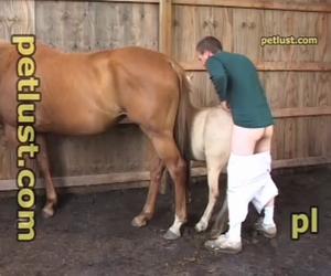 Sweet brown horse and a lusty lover have good fuck