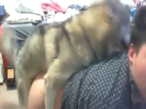 Hot brunette gay guy gets fucked by Husky