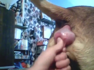 Self-fuck with a sexy dog that wants to cum