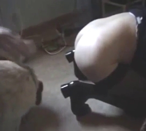 Dog fucks a MILF and that MILF cums a few times