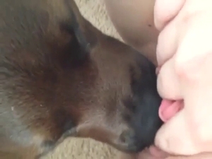 Sexy zoophile is going to get off with WORSHIP