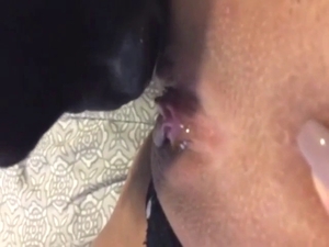 Black dog licks that opening up close, it's wild