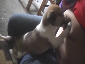 Puppy is going to suck on them gorgeous boobies