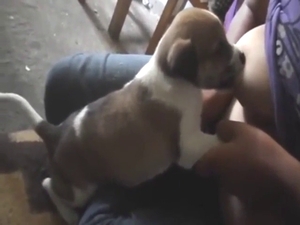 Puppy is going to suck on them gorgeous boobies