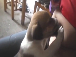 Puppy is going to suck on them gorgeous boobies