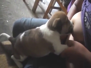 Puppy is going to suck on them gorgeous boobies