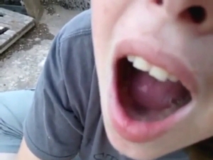 BJ with a brown dog that has a red boner