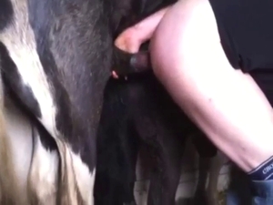 Hot and hard pony cock punishing that asshole