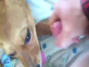Sexed-up pupper takes a facial, it looks brilliant