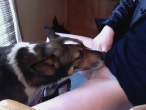 Dog is going to make this 18+ teen scream