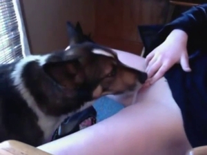 Dog is going to make this 18+ teen scream